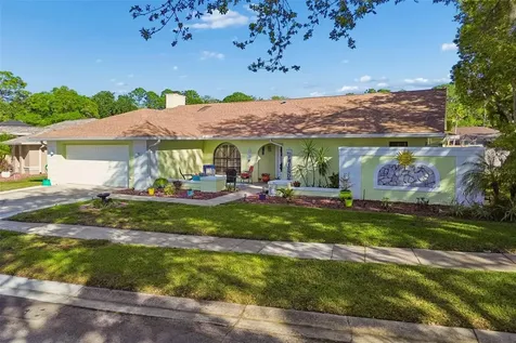 8930 Brooker Drive New Port Richey FL 34655