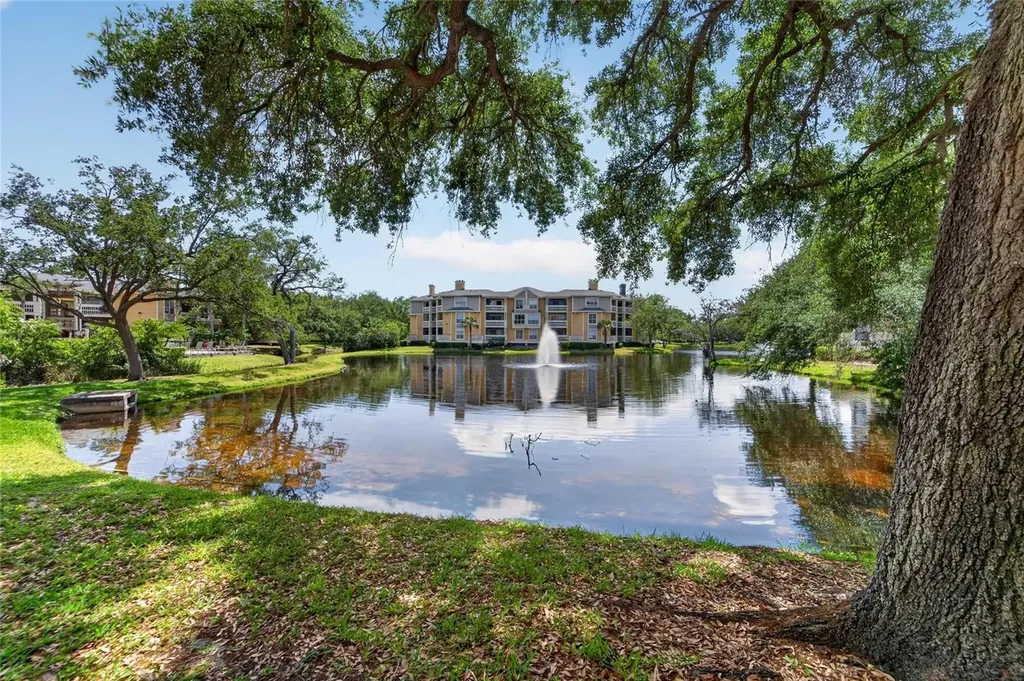 115 112th Avenue NE St Petersburg FL 33716