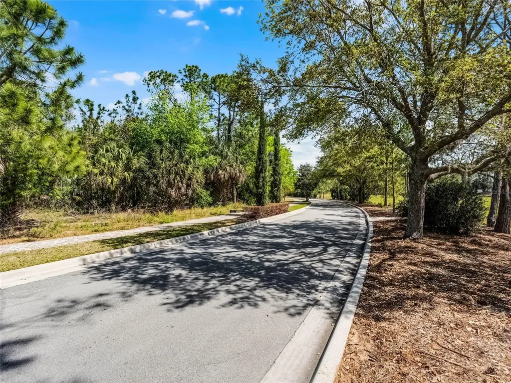 15946 Pendio Drive Bella Collina FL 34756