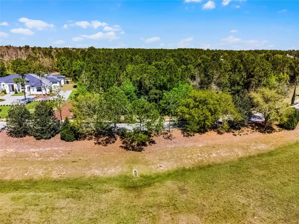 15946 Pendio Drive Bella Collina FL 34756