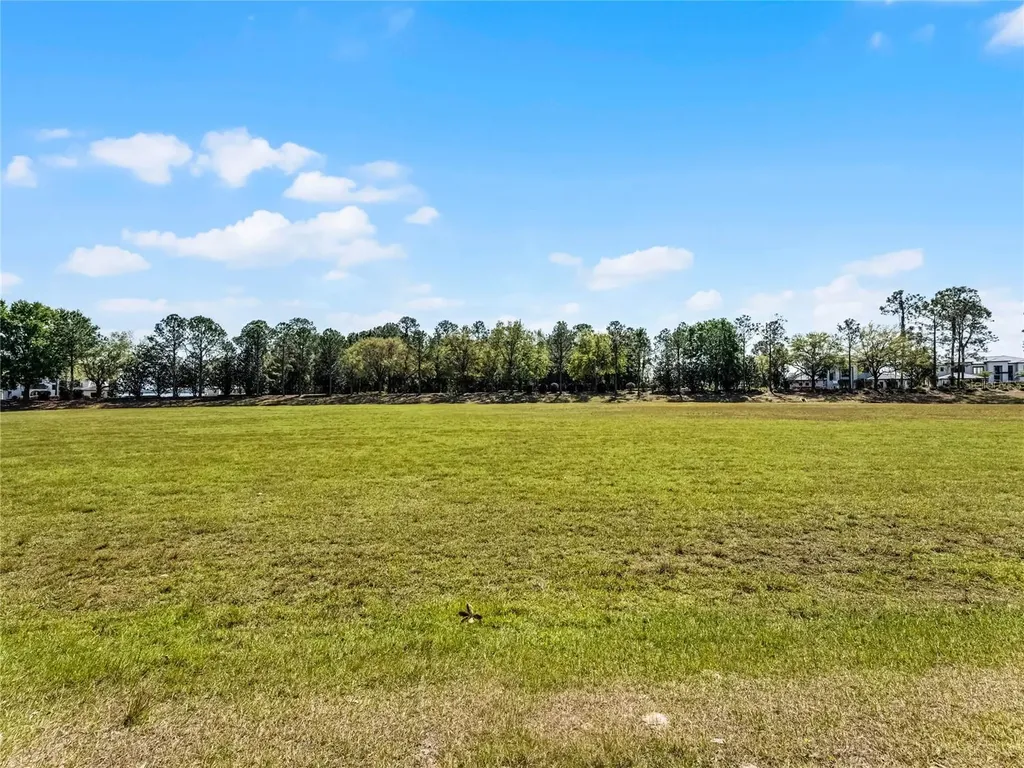 15946 Pendio Drive Bella Collina FL 34756