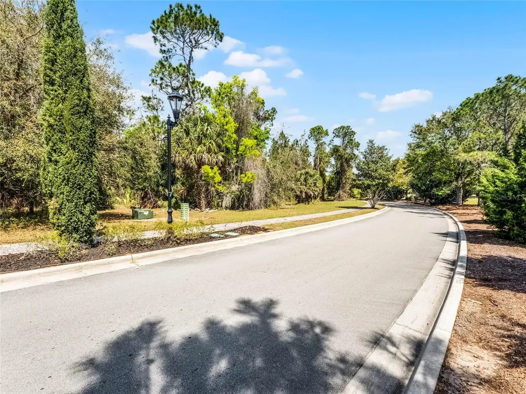 15946 Pendio Drive Bella Collina FL 34756