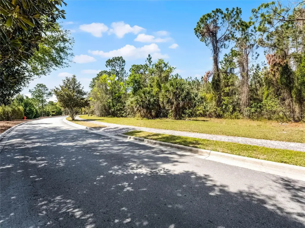 15946 Pendio Drive Bella Collina FL 34756