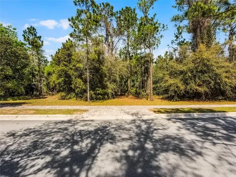 15946 Pendio Drive Bella Collina FL 34756