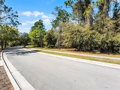15946 Pendio Drive Bella Collina FL 34756