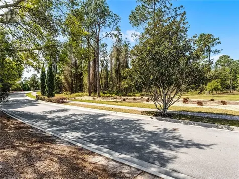 15946 Pendio Drive Bella Collina FL 34756