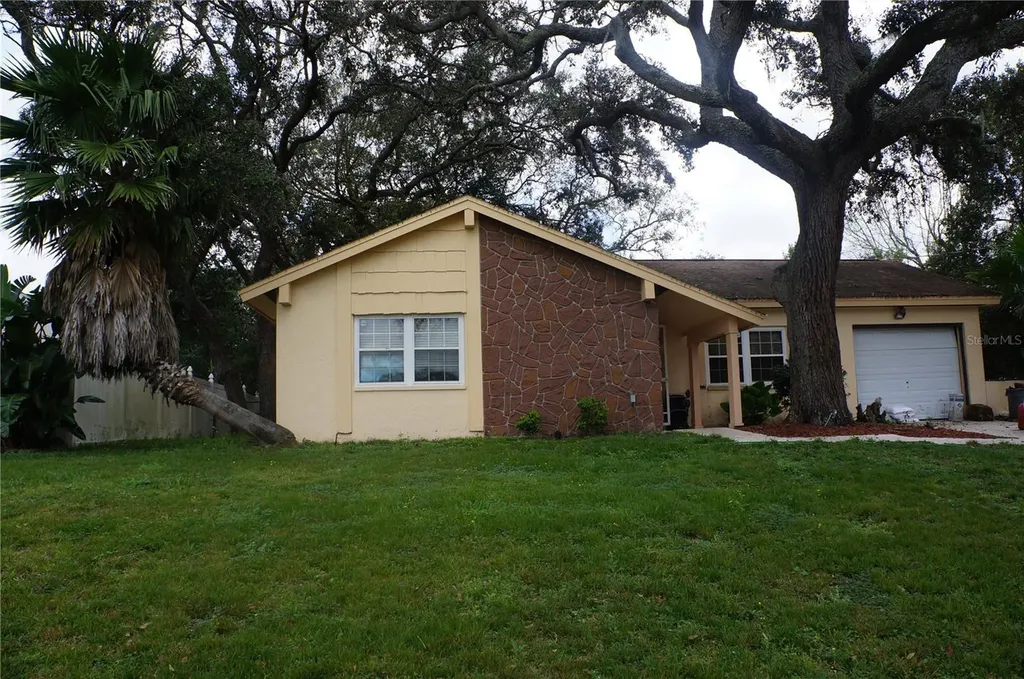 1156 Macfarlane Avenue Spring Hill FL 34608