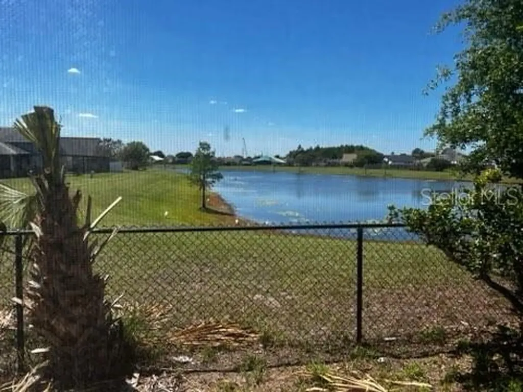 171 White Birch Drive Kissimmee FL 34743