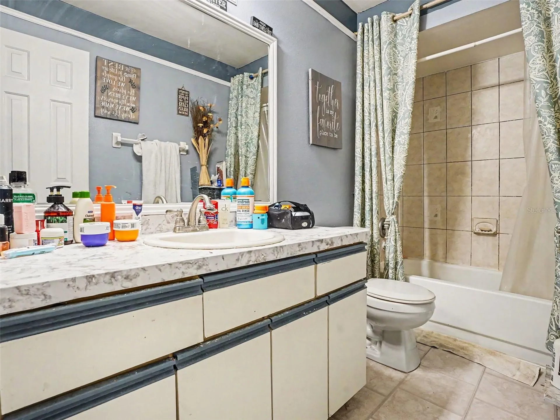 171 White Birch Drive Kissimmee FL 34743