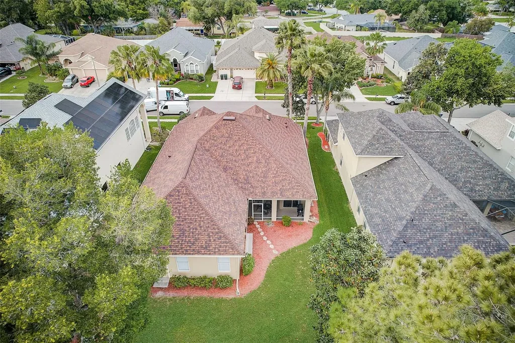 23338 Dinhurst Court Land O Lakes FL 34639