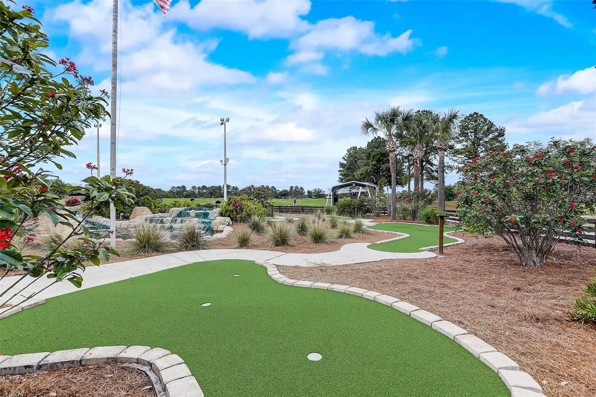 23338 Dinhurst Court Land O Lakes FL 34639