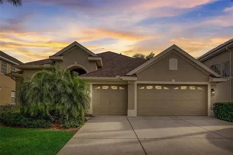 23338 Dinhurst Court Land O Lakes FL 34639
