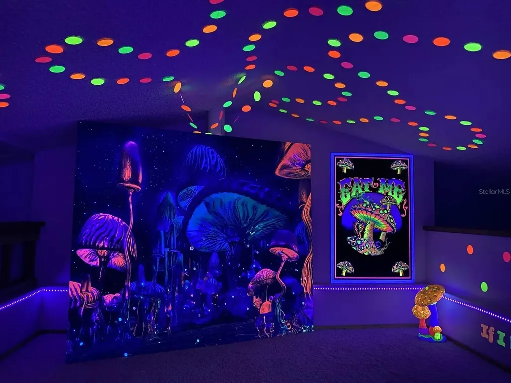 20865 Haulover Cove Lutz FL 33558