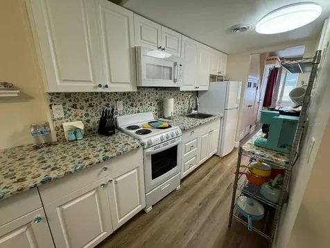 20865 Haulover Cove Lutz FL 33558