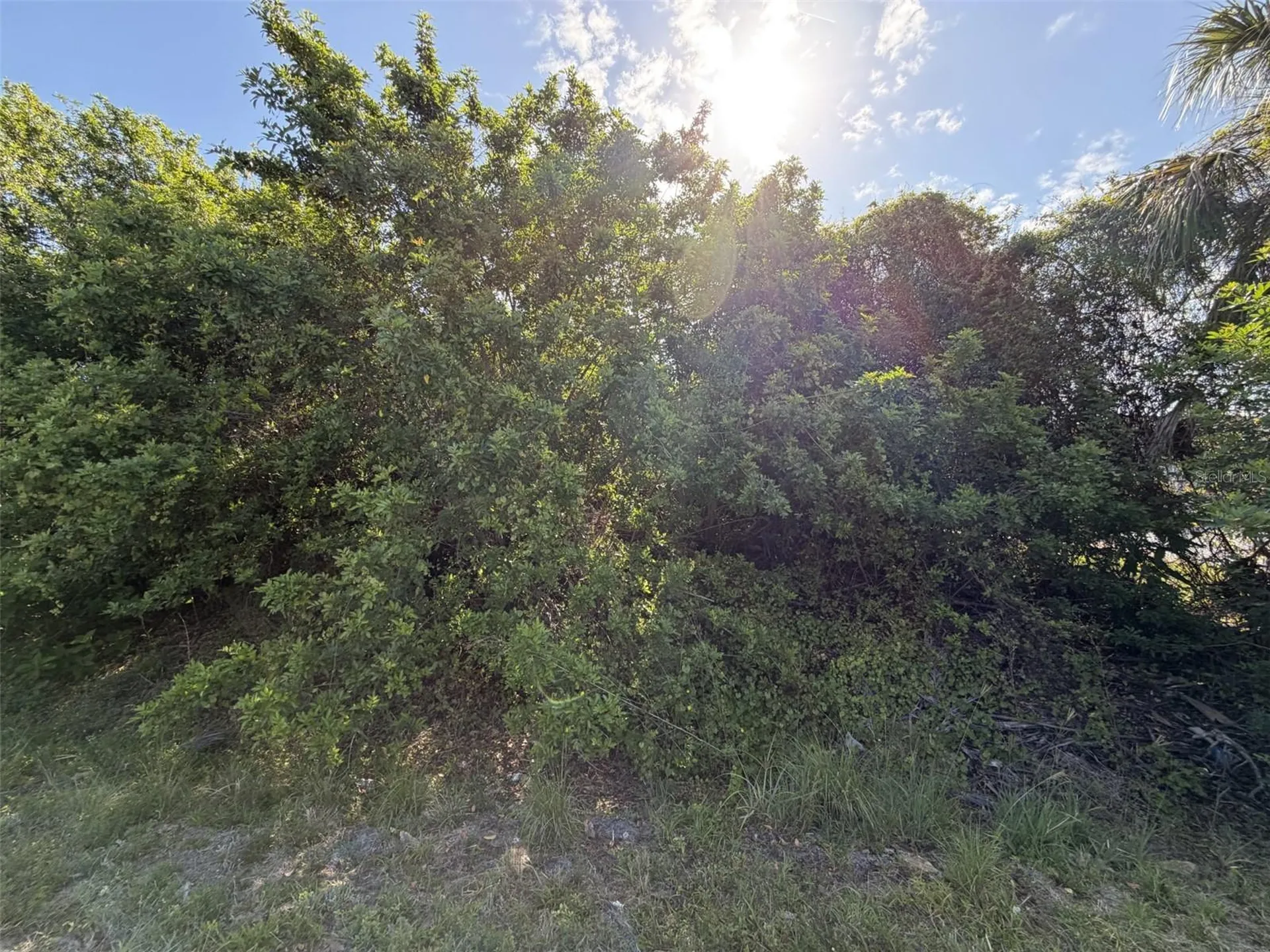 1352 Abalom Street Port Charlotte FL 33980
