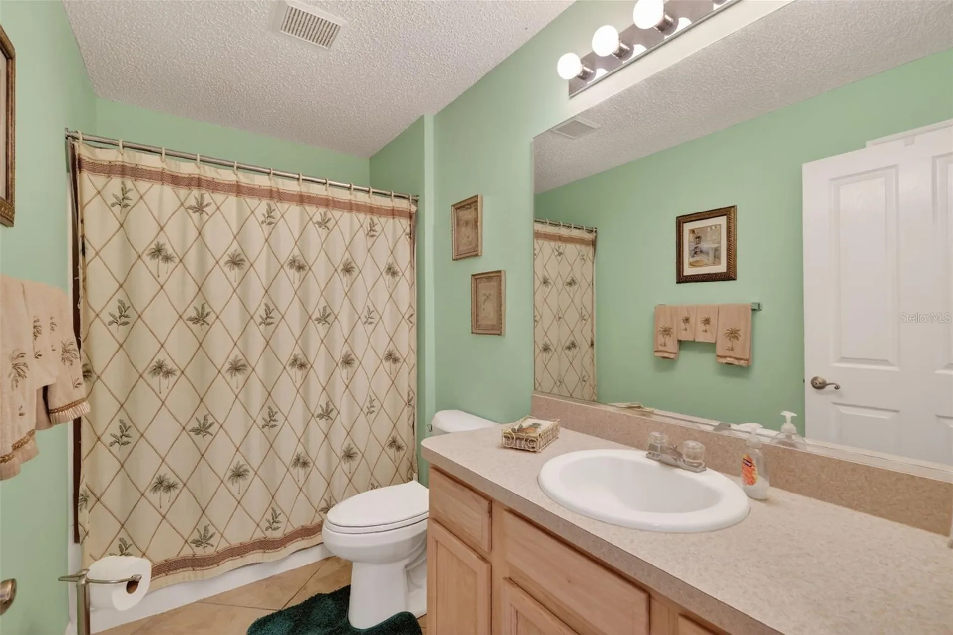 3406 Jacona Place The Villages FL 32162