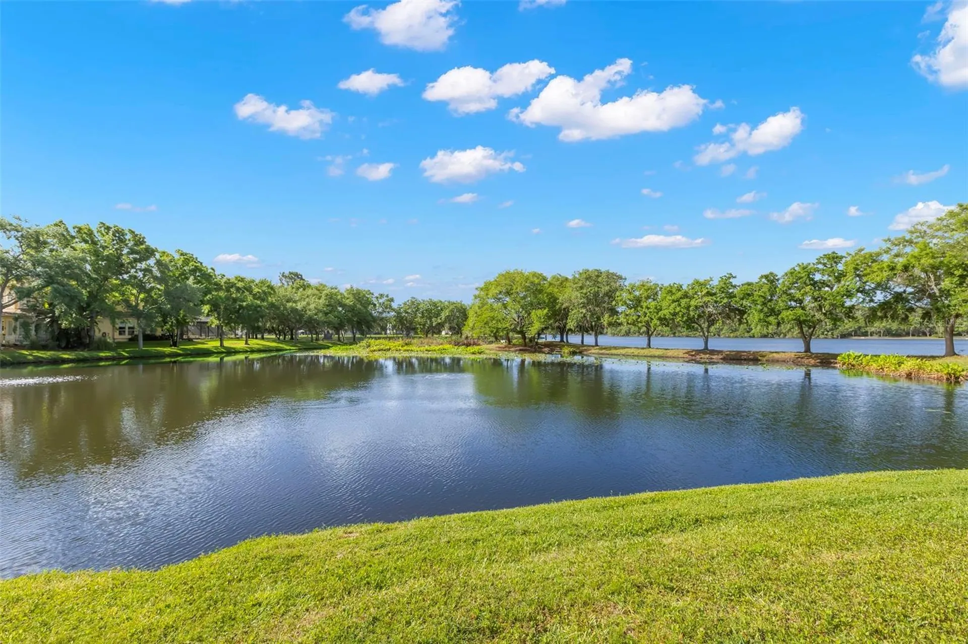 11732 Casa Lago Lane Tampa FL 33626