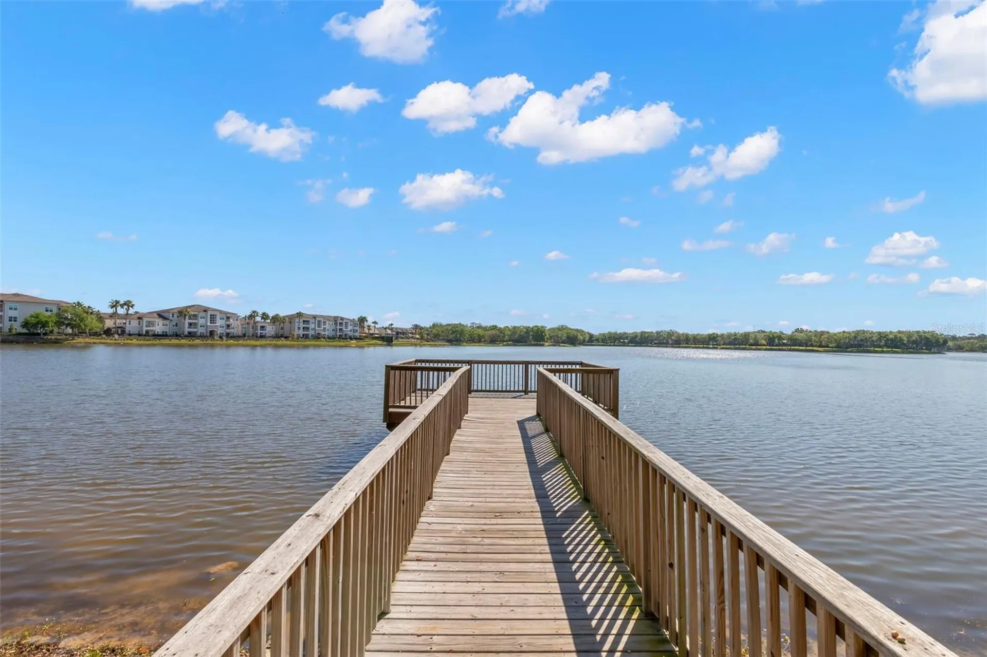 11732 Casa Lago Lane Tampa FL 33626