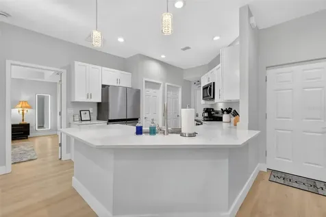 335 Vincent Drive Mount Dora FL 32757