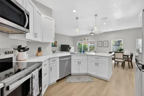 335 Vincent Drive Mount Dora FL 32757