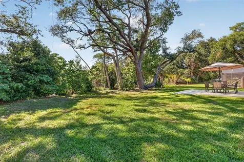335 Vincent Drive Mount Dora FL 32757