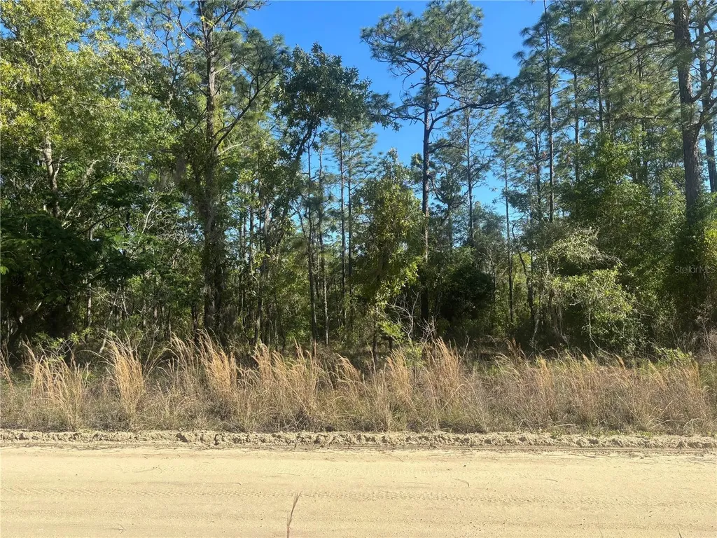 0000 SW 8th Place Ocala FL 34481