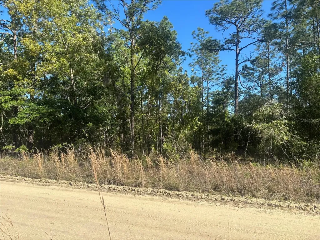 0000 SW 8th Place Ocala FL 34481