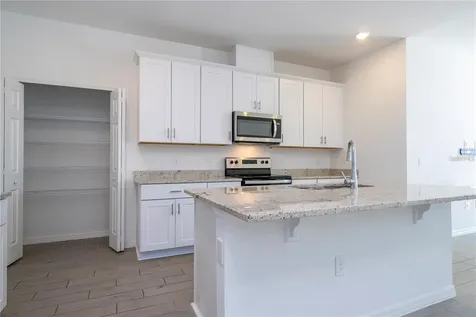 2337 Treasure Hill Street Minneola FL 34715