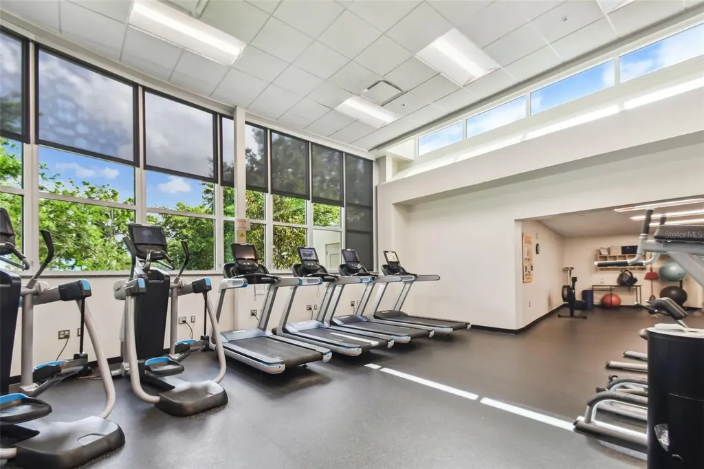 321 11th Avenue S Safety Harbor FL 34695
