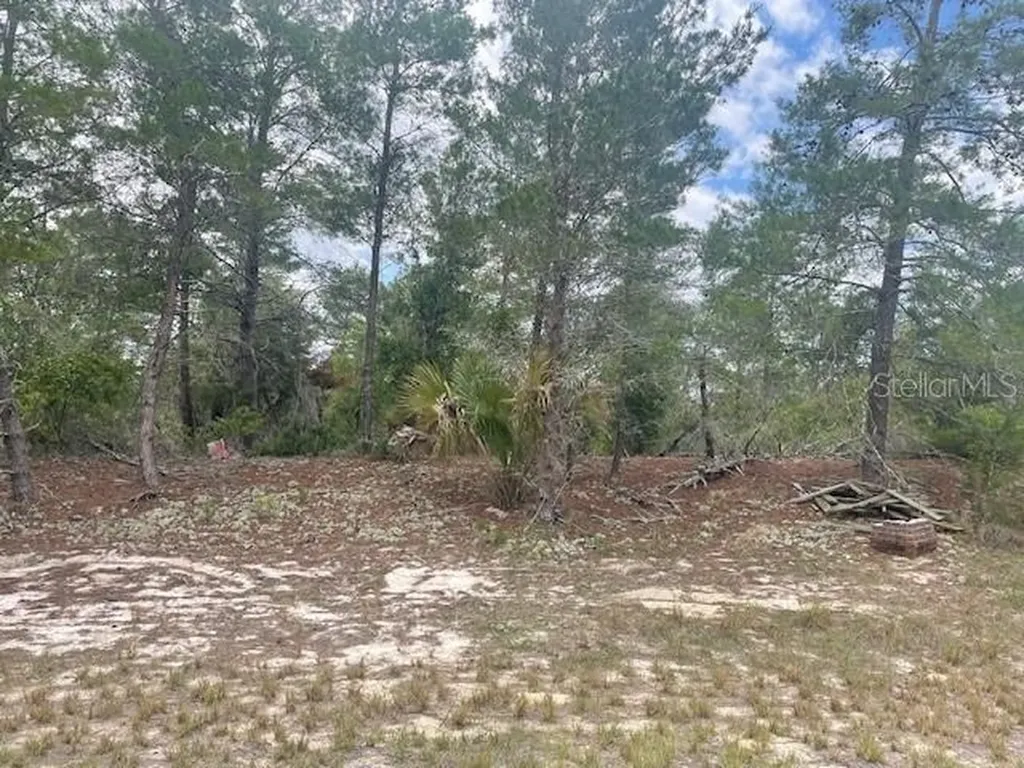 1342 Homosassa Drive Poinciana FL 34759