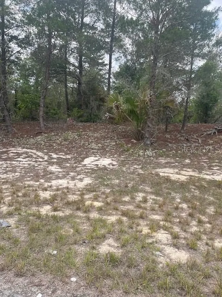1342 Homosassa Drive Poinciana FL 34759