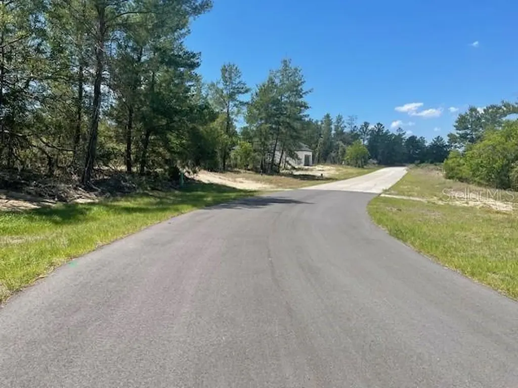 1342 Homosassa Drive Poinciana FL 34759