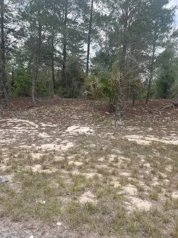 1342 Homosassa Drive Poinciana FL 34759