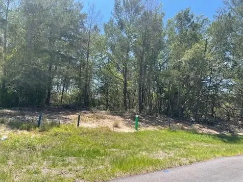 1342 Homosassa Drive Poinciana FL 34759