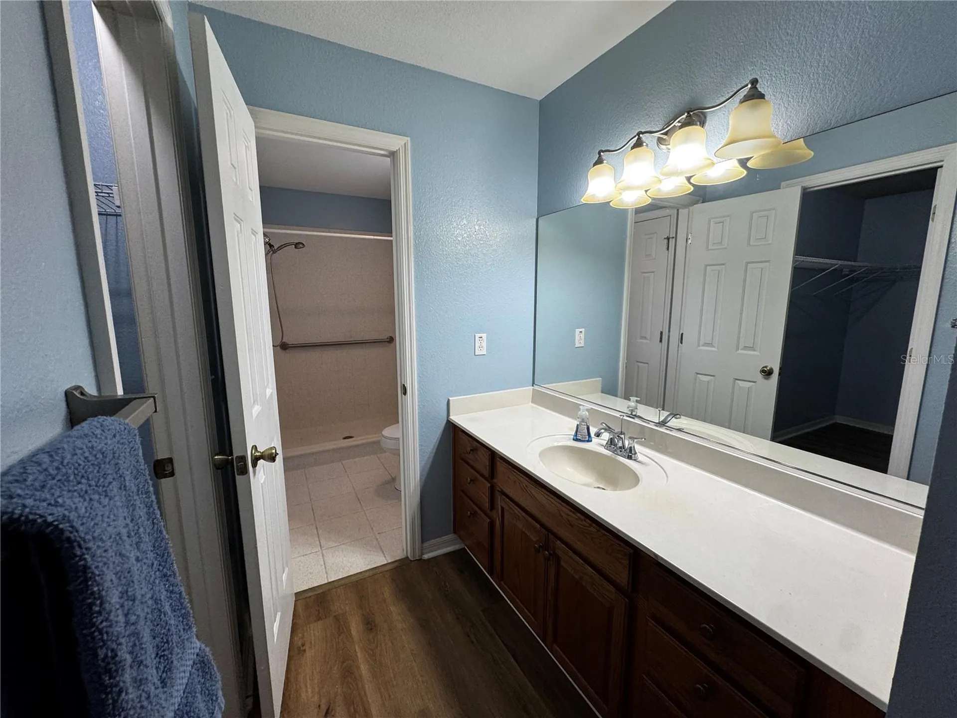 17522 SE 95th Circle Summerfield FL 34491