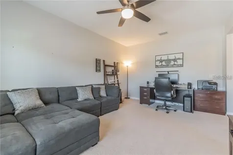 30927 Parrot Reef Court Wesley Chapel FL 33545