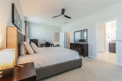 30927 Parrot Reef Court Wesley Chapel FL 33545