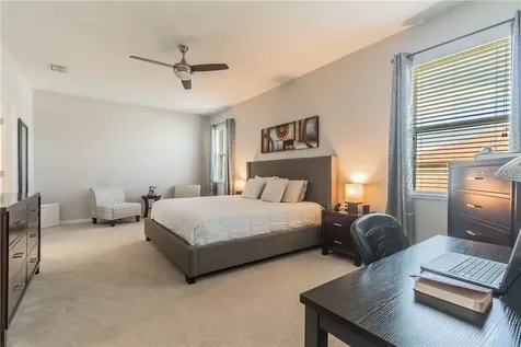 30927 Parrot Reef Court Wesley Chapel FL 33545