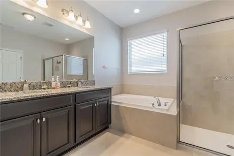 30927 Parrot Reef Court Wesley Chapel FL 33545
