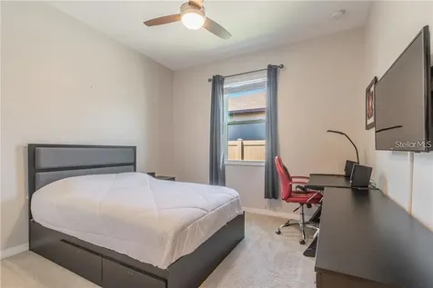 30927 Parrot Reef Court Wesley Chapel FL 33545