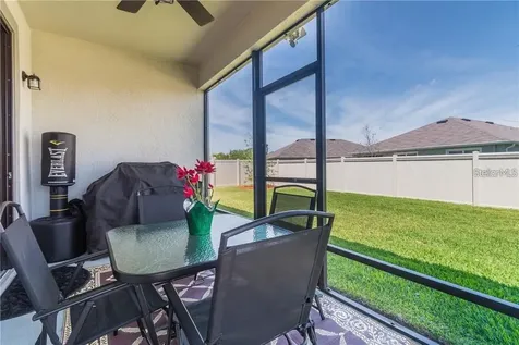 30927 Parrot Reef Court Wesley Chapel FL 33545