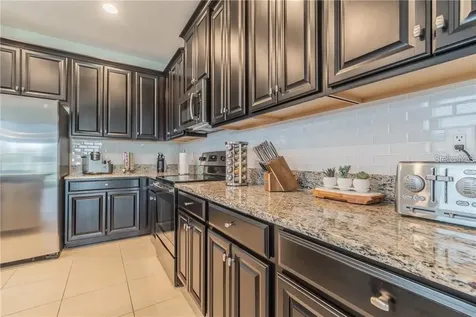 30927 Parrot Reef Court Wesley Chapel FL 33545