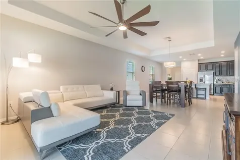 30927 Parrot Reef Court Wesley Chapel FL 33545