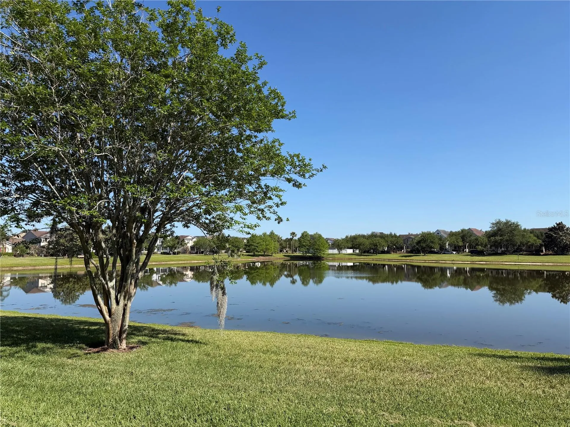 7808 Winter Wren Street Winter Garden FL 34787