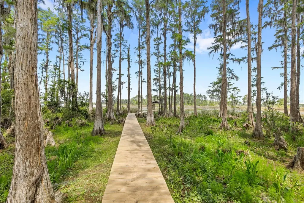 7907 Florida Boys Ranch Road Groveland FL 34736