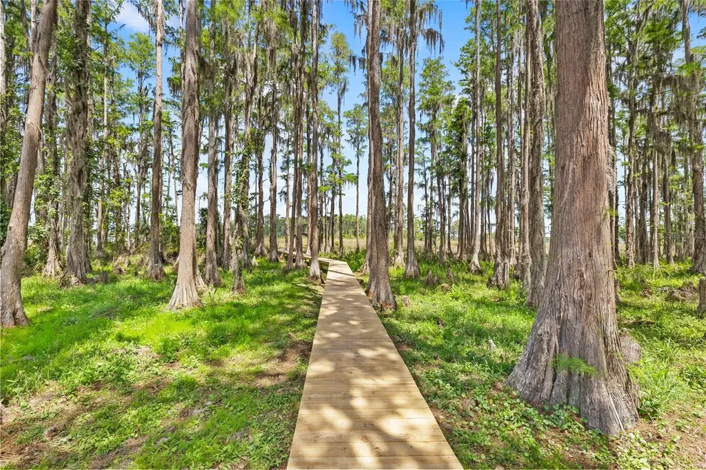 7907 Florida Boys Ranch Road Groveland FL 34736