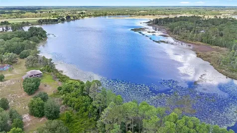 7907 Florida Boys Ranch Road Groveland FL 34736
