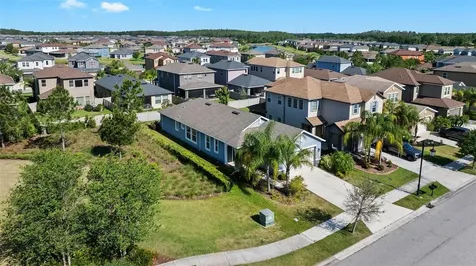 4445 Tramanto Lane Wesley Chapel FL 33543