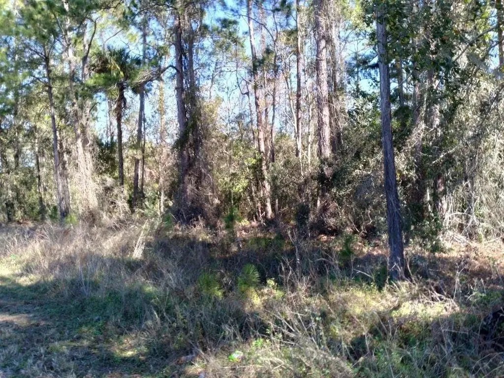 Poyner Road Polk City FL 33868