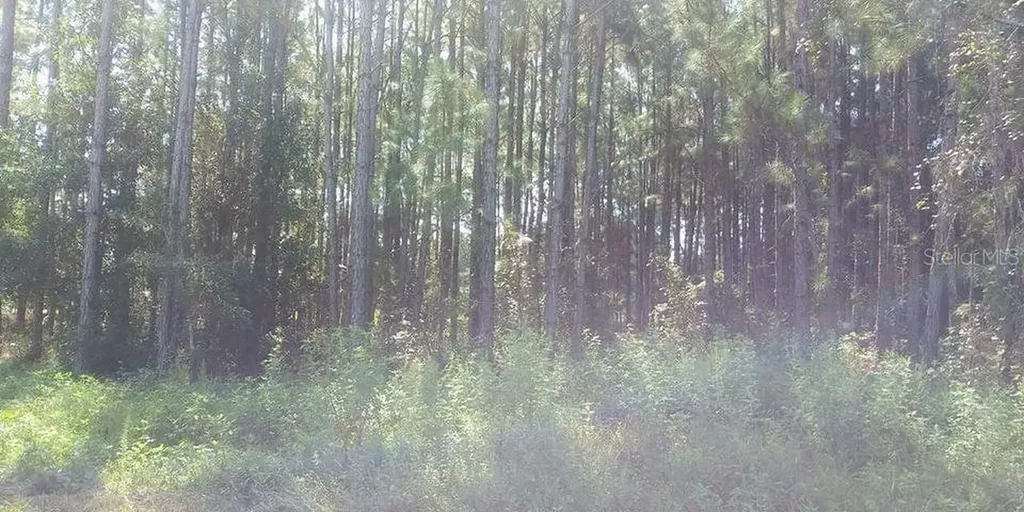 Poyner Road Polk City FL 33868